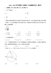 精品解析：2023年广东省深圳市南山区桃源中学中考三模数学试题