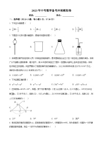 精品解析：2023年广东省深圳市石岩公学中考模拟数学试题