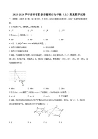 2023-2024学年吉林省长春市榆树市九年级（上）期末数学试卷(含解析）