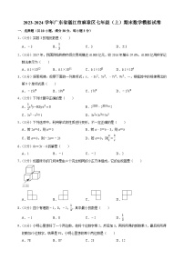 +广东省湛江市麻章区2023-2024学年七年级上学期期末数学模拟试卷