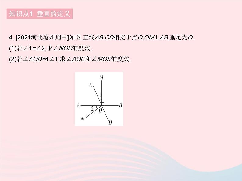 河北专用2023七年级数学下册第五章相交线与平行线5.1相交线课时2垂线作业课件新版新人教版第6页