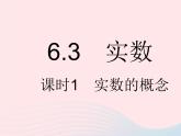 河北专用2023七年级数学下册第六章实数6.3实数课时1实数的概念作业课件新版新人教版