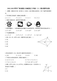 2022-2023学年广东省湛江市麻章区八年级（上）期末数学试卷（含解析）