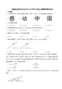 安徽省合肥市庐江县2020-2021学年八年级上学期期末数学试卷