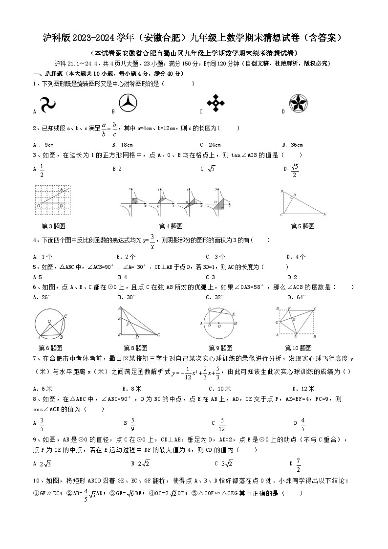 安徽省合肥市蜀山区2023-2024学年九年级上学期沪科版数学期末猜想试卷01