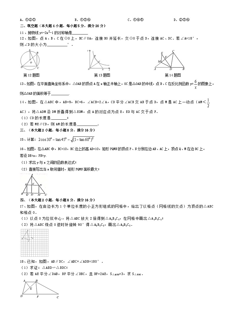安徽省合肥市蜀山区2023-2024学年九年级上学期沪科版数学期末猜想试卷02