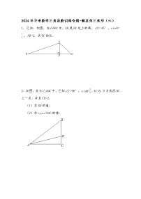 2024年中考数学三角函数训练专题-三角函数计算（六）（试题+解析）