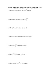 2024年中考数学三角函数训练专题-三角函数计算（三）（试题+解析）