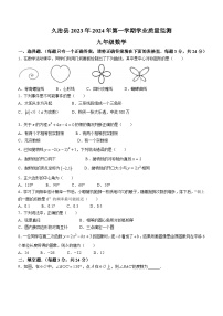 青海省果洛藏族自治州久治县2023-2024学年九年级上学期期末考试数学试题