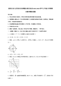 黑龙江省大庆市杜尔伯特蒙古族自治县2023-2024学年九年级上册期末数学模拟试卷（附答案）