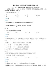 湖南省永州市东安县2023-2024学年八年级上学期月考数学试题