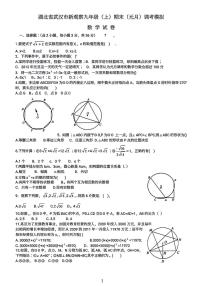 武汉市新观察九年级元月调考数学试卷