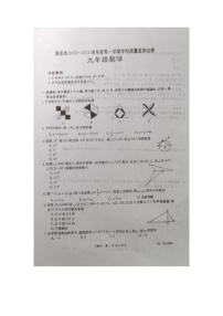 陕西省商洛市2022-2023学年九年级上学期学科教学质量监测数学试题