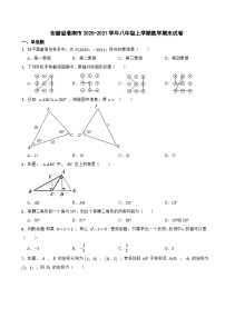 安徽省淮南市2020-2021学年八年级上学期数学期末试卷