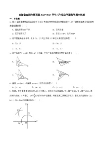 安徽省合肥市肥西县2020-2021学年八年级上学期数学期末试卷