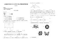 山东省临沂市河东区2023-2024学年八年级上学期期末数学模拟试题