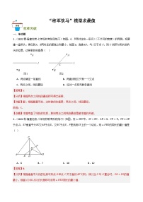 “将军饮马”模型求最值(解析版）