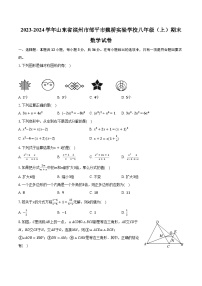 2023-2024学年山东省滨州市邹平市魏桥实验学校八年级（上）期末数学试卷（含解析）