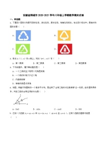 安徽省桐城市2020-2021学年八年级上学期数学期末试卷