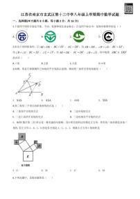 【玄外、科利华】八年级上册数学期中试卷（含解析）