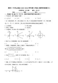 福建省漳州市第一中学芝山校区2023-2024学年度八年级上学期第三次月考数学试题(无答案)