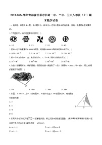 吉林省松原市长岭一中、二中、五中2023-2024学年八年级上学期期末数学试卷