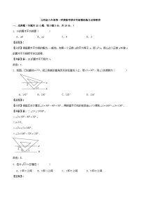 北师版八年级第一学期数学期末考前模拟练习试卷(原卷+解析卷)