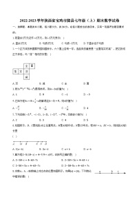 2022-2023学年陕西省宝鸡市陇县七年级（上）期末数学试卷（含解析）