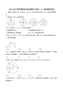 2022-2023学年陕西省宝鸡市陇县九年级（上）期末数学试卷（含解析）