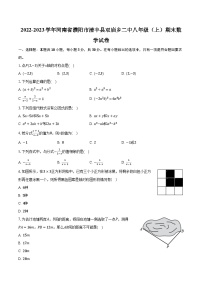 2022-2023学年河南省濮阳市清丰县双庙乡二中八年级（上）期末数学试卷（含解析）