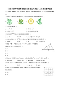 2022-2023学年河南省商丘市柘城县八年级（上）期末数学试卷（含解析）