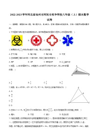 2022-2023学年河北省沧州市河间市英华学校八年级（上）期末数学试卷（含解析）