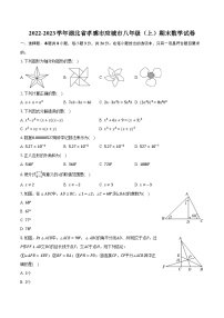 2022-2023学年湖北省孝感市应城市八年级（上）期末数学试卷（含解析）