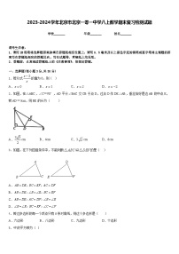 2023-2024学年北京市北京一零一中学八上数学期末复习检测试题含答案