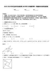 2023-2024学年北京市东城区第166中学八年级数学第一学期期末达标检测试题含答案