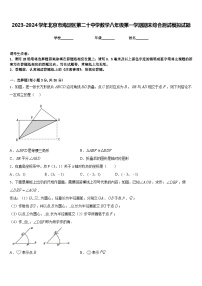 2023-2024学年北京市海淀区第二十中学数学八年级第一学期期末综合测试模拟试题含答案