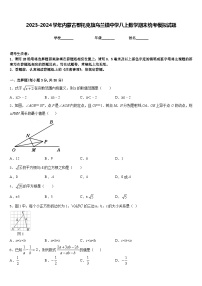 2023-2024学年内蒙古鄂托克旗乌兰镇中学八上数学期末统考模拟试题含答案