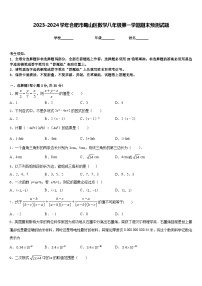 2023-2024学年合肥市蜀山区数学八年级第一学期期末预测试题含答案