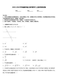 2023-2024学年南昌市南大附中数学八上期末预测试题含答案