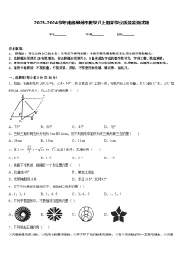 2023-2024学年南省郴州市数学八上期末学业质量监测试题含答案