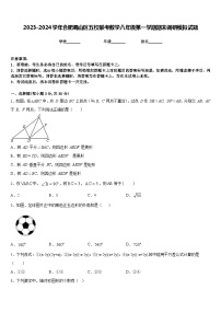 2023-2024学年合肥蜀山区五校联考数学八年级第一学期期末调研模拟试题含答案