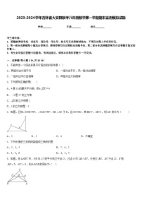 2023-2024学年吉林省大安县联考八年级数学第一学期期末监测模拟试题含答案