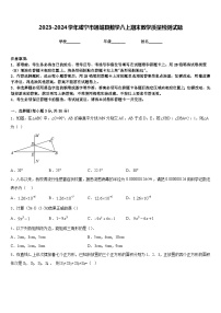 2023-2024学年咸宁市通城县数学八上期末教学质量检测试题含答案