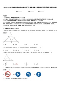 2023-2024学年四川省南充市阆中学八年级数学第一学期期末学业质量监测模拟试题含答案