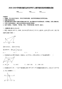 2023-2024学年四川省乐山市五中学八上数学期末质量检测模拟试题含答案