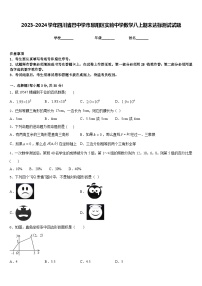 2023-2024学年四川省巴中学市恩阳区实验中学数学八上期末达标测试试题含答案