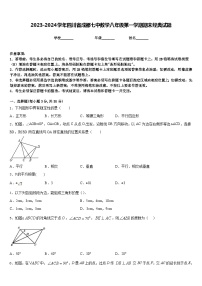 2023-2024学年四川省成都七中数学八年级第一学期期末经典试题含答案