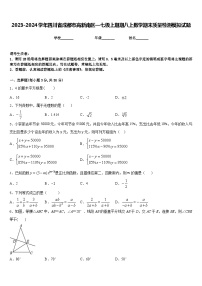 2023-2024学年四川省成都市高新南区—七级上期期八上数学期末质量检测模拟试题含答案