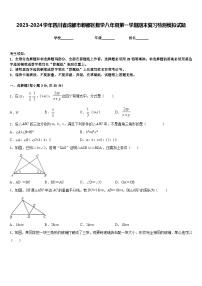 2023-2024学年四川省成都市郫都区数学八年级第一学期期末复习检测模拟试题含答案