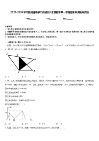 2023-2024学年四川省成都市武侯区八年级数学第一学期期末考试模拟试题含答案